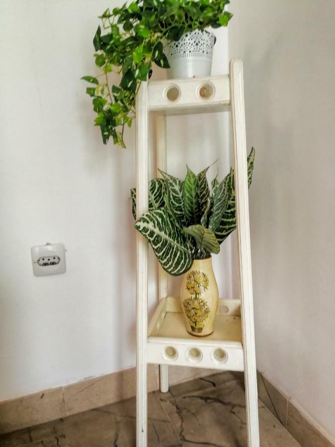 Apartman Damir Sumartin Exteriér fotografie